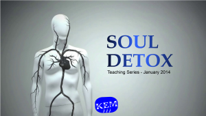 KEM_2014_Soul_Detox_logo